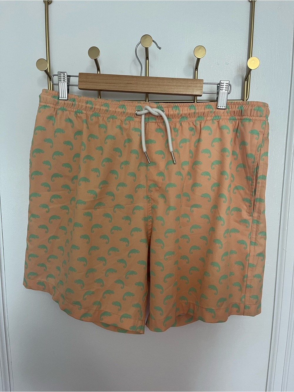 Bermies Men Swim Shorts - Peach with Green Chameleon Pattern